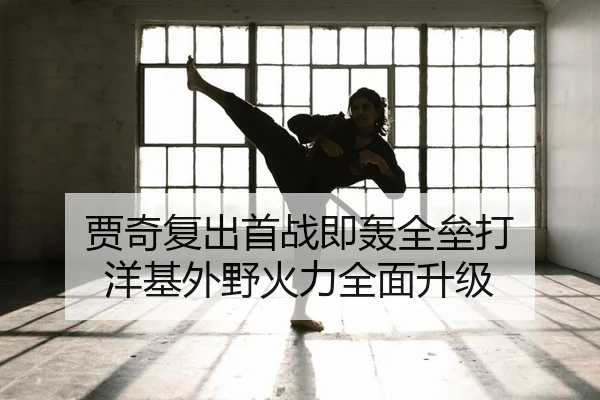 jia-qi-fu-chu-shou-zhan-ji-hong-quan-lei-da-yang-ji-wai-ye-huo-li-quan-mian-sheng-ji-2-244.jpg